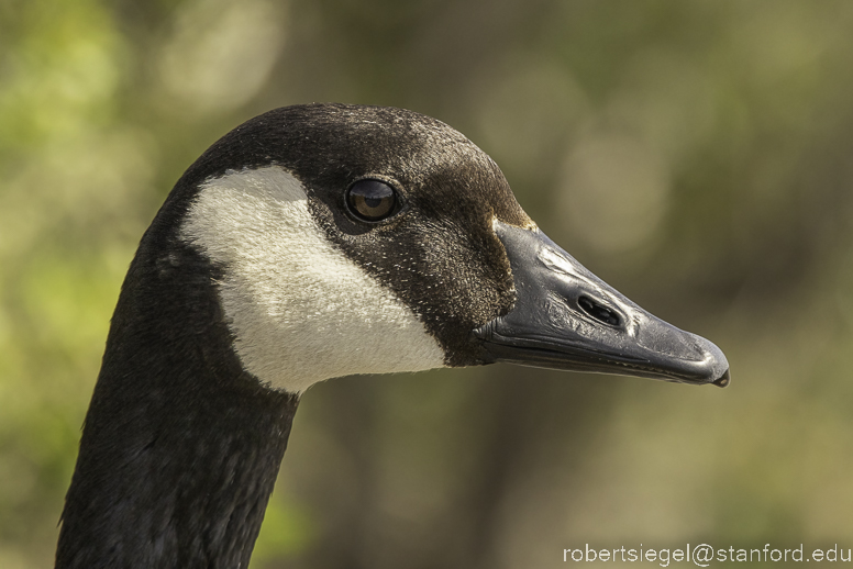 emily renzel wetlands 2023